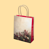 Коледна радост,  S1-469 - 20+8/25 см 0